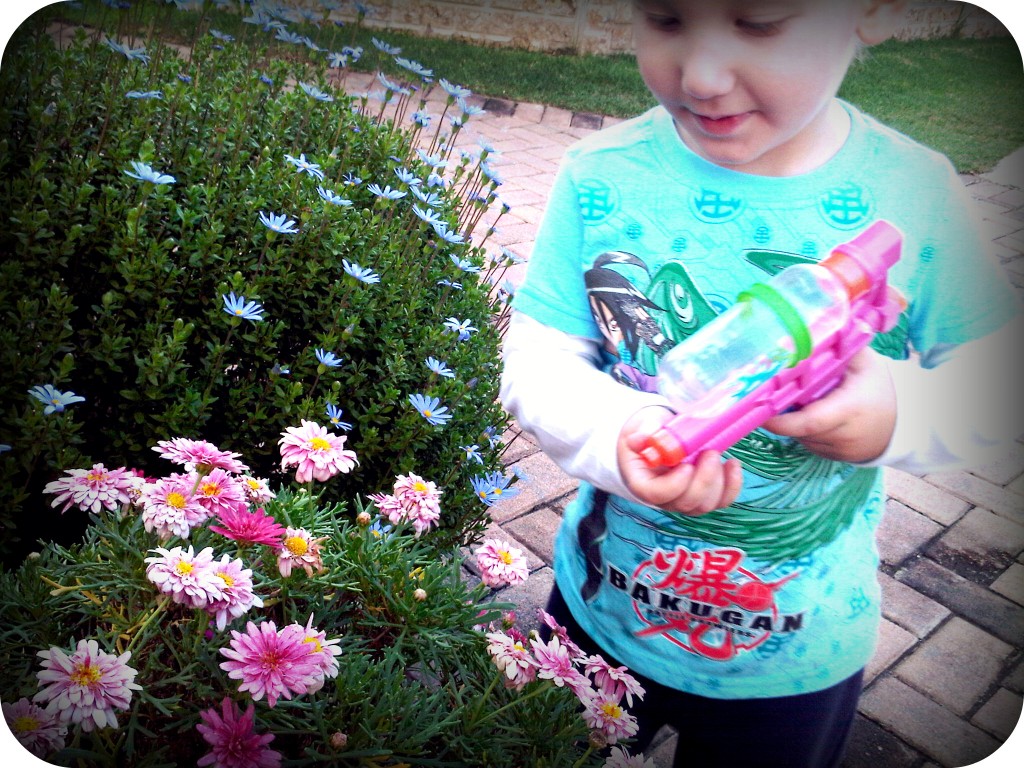 flowers3